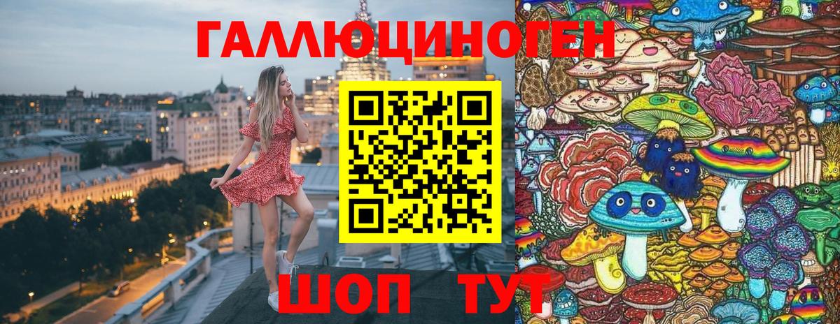 Сокол  Псилоцибиновые грибы Magic Shrooms  Вход с VPN  Галлюциногенные грибы Psilocybe 